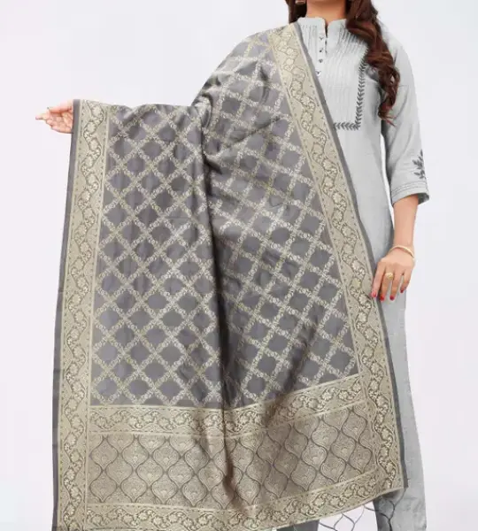 Satyay Creation Jacquard woven Dupatta Grey